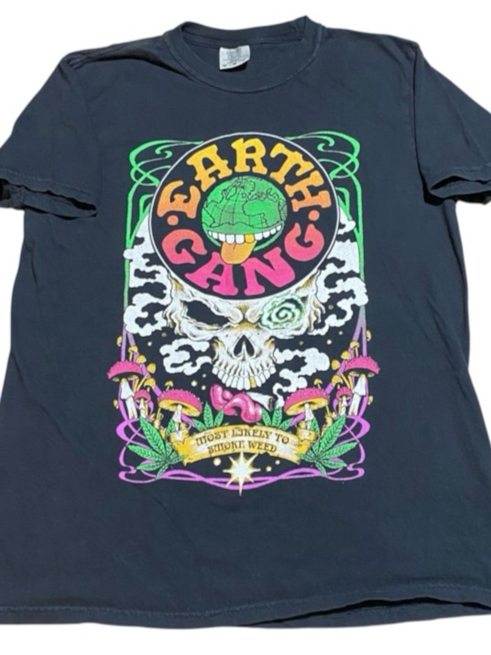 Earthgang Tour 2022 Concert T Shirt Mens Medium Comfort Colors Black Skull (DB3)